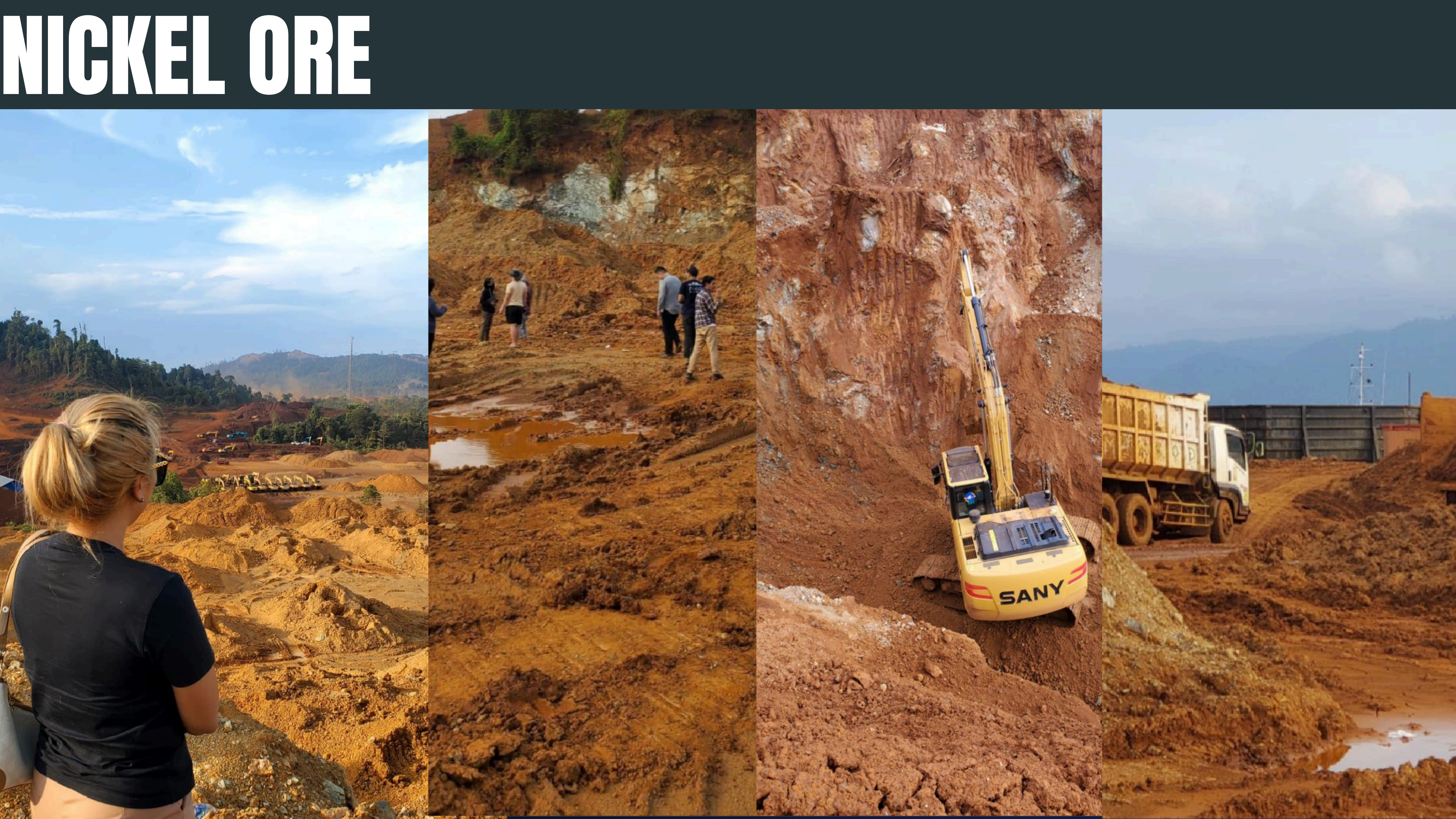Nickel Project